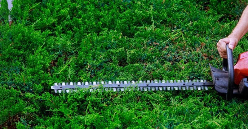 5 Best Cordless Grass Trimmer For Efficient Cutting